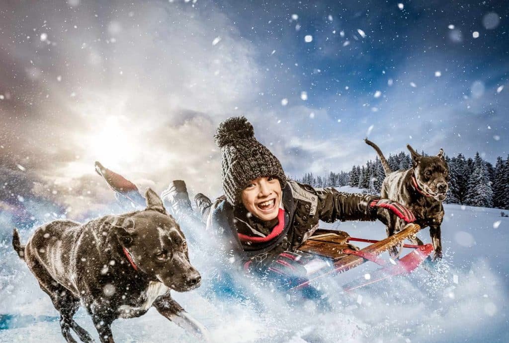 Child sledding in snow with two dogs, joyful expression, winter landscape, snowflakes falling, showcasing playful outdoor activity.