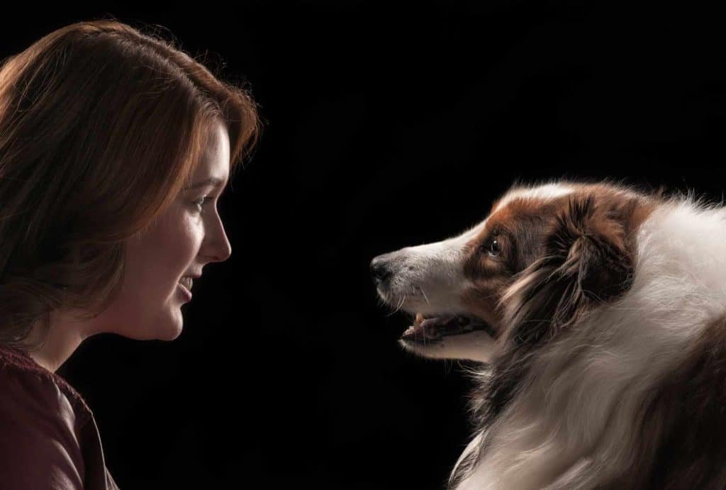 Woman and dog in close profile, showcasing emotional connection, highlighting pet photography by Nimble Dragon Studios.