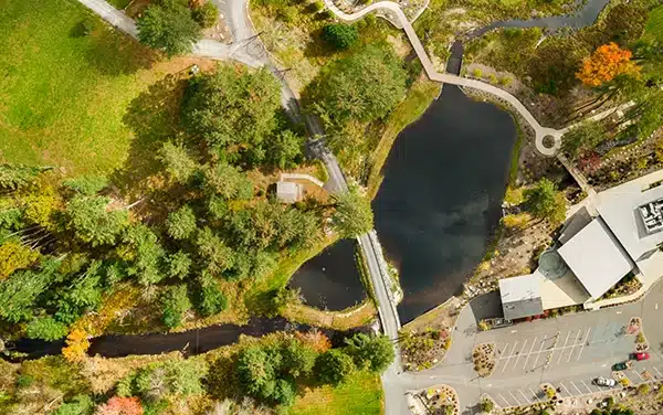 Stitched aerial composite where trees lean in different directions at the seams